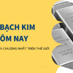 Giá Bạch Kim hôm nay 2024 Bao nhiêu 1 gam, 1 chỉ?